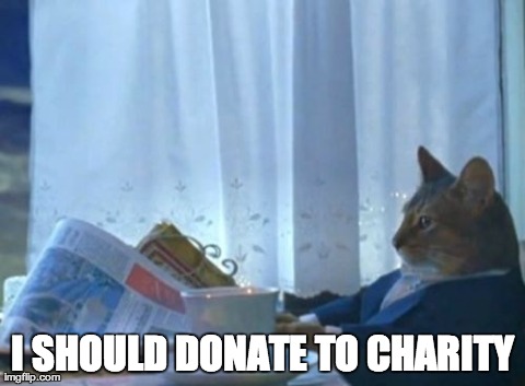 I Should Buy A Boat Cat | I SHOULD DONATE TO CHARITY | image tagged in memes,i should buy a boat cat | made w/ Imgflip meme maker