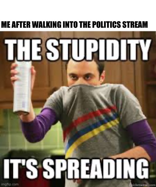 The stupidity | ME AFTER WALKING INTO THE POLITICS STREAM | made w/ Imgflip meme maker
