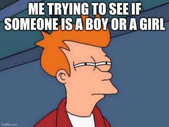 2023 | ME TRYING TO SEE IF SOMEONE IS A BOY OR A GIRL | image tagged in memes,futurama fry | made w/ Imgflip meme maker