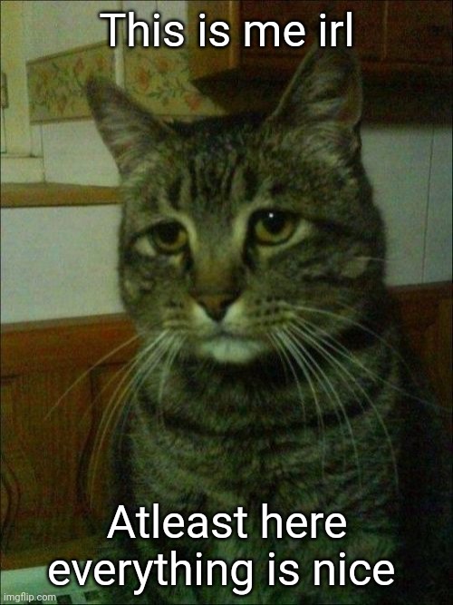 *sigh* | This is me irl; Atleast here everything is nice | image tagged in memes,depressed cat | made w/ Imgflip meme maker