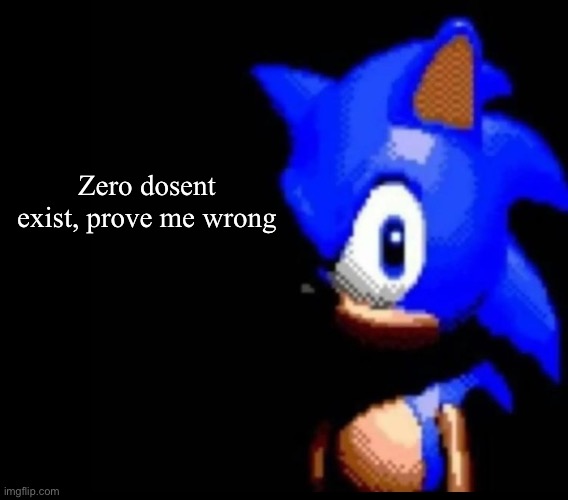 Sonic stares | Zero dosent exist, prove me wrong | image tagged in sonic stares | made w/ Imgflip meme maker
