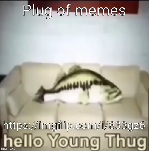 https://imgflip.com/i/833gz6 | Plug of memes; https://imgflip.com/i/833gz6 | image tagged in hello young thug | made w/ Imgflip meme maker