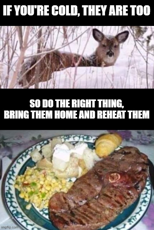 we must act | IF YOU'RE COLD, THEY ARE TOO; SO DO THE RIGHT THING, BRING THEM HOME AND REHEAT THEM | image tagged in blank black,deer | made w/ Imgflip meme maker