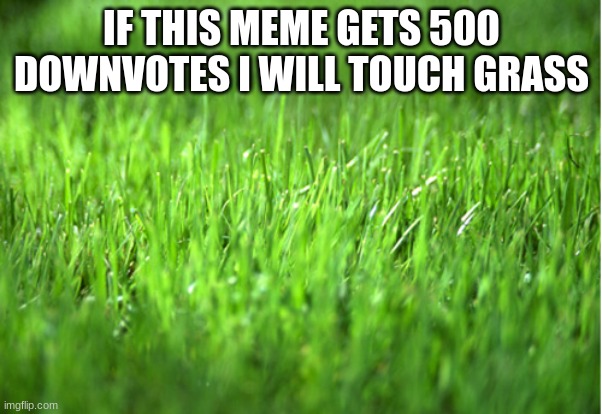 downvote this meme i beg downvotes | IF THIS MEME GETS 500 DOWNVOTES I WILL TOUCH GRASS | image tagged in grass is greener | made w/ Imgflip meme maker