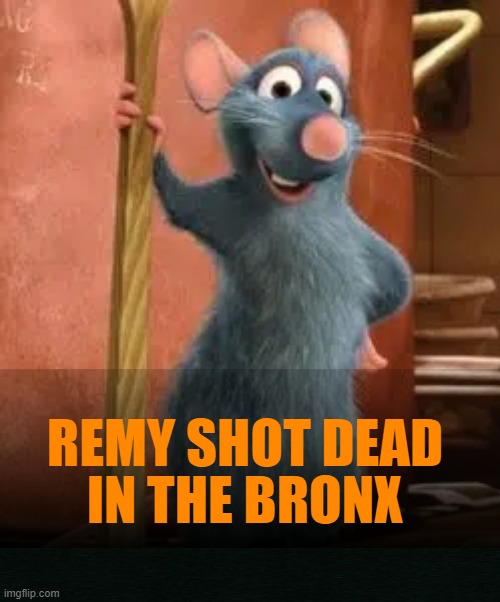 SHOT DEAD IN THE BRONX MEME | IN THE BRONX; REMY SHOT DEAD | image tagged in meme | made w/ Imgflip meme maker