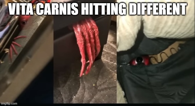 VITA CARNIS HITTING DIFFERENT | made w/ Imgflip meme maker