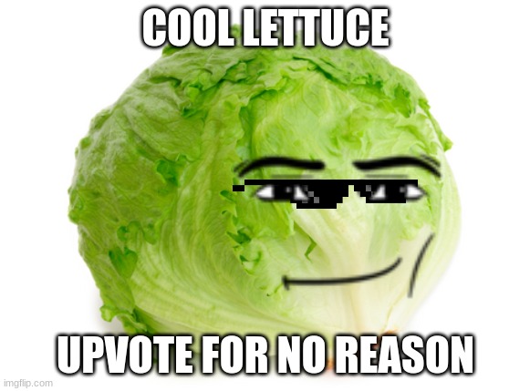 Lettuce  | COOL LETTUCE; UPVOTE FOR NO REASON | image tagged in lettuce | made w/ Imgflip meme maker
