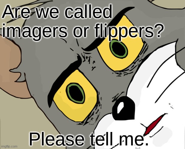 I am confused | Are we called imagers or flippers? Please tell me. | image tagged in memes,unsettled tom,confused | made w/ Imgflip meme maker