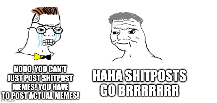 nooo haha go brrr | NOOO, YOU CAN'T JUST POST SHITPOST MEMES! YOU HAVE TO POST ACTUAL MEMES! HAHA SHITPOSTS GO BRRRRRRR | image tagged in nooo haha go brrr | made w/ Imgflip meme maker