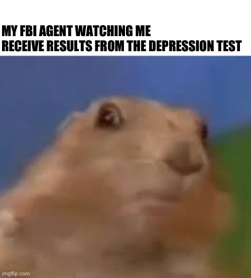 They probably shat themself | MY FBI AGENT WATCHING ME RECEIVE RESULTS FROM THE DEPRESSION TEST | made w/ Imgflip meme maker