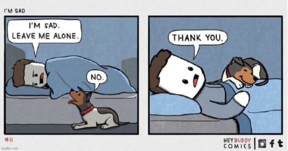 This Is Sweet | image tagged in comics/cartoons,comics,cute,dog | made w/ Imgflip meme maker