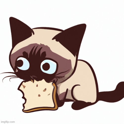 cute siamese cat eating bread | image tagged in cute siamese cat eating bread | made w/ Imgflip meme maker
