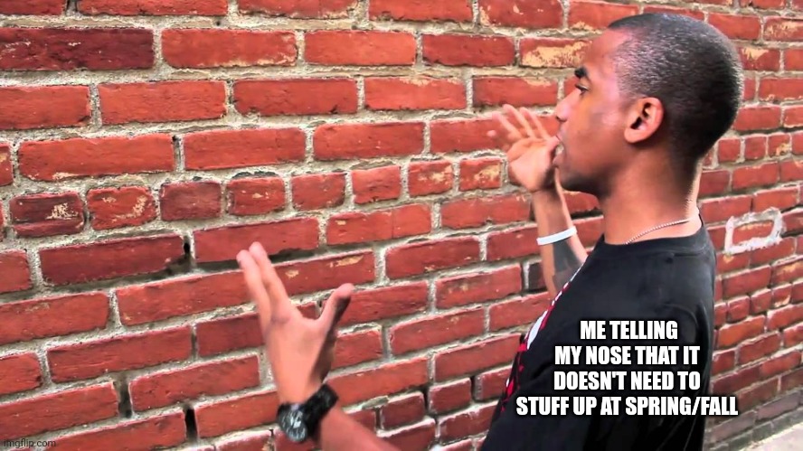 Every spring/fall | ME TELLING MY NOSE THAT IT DOESN'T NEED TO STUFF UP AT SPRING/FALL | image tagged in talking to wall | made w/ Imgflip meme maker