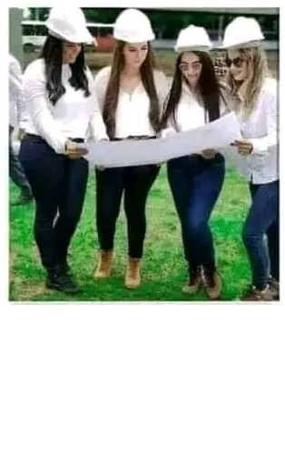 High Quality Women looking at plans Blank Meme Template