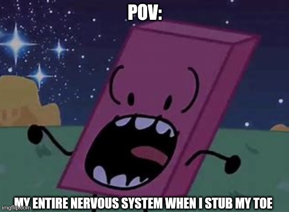 Relatable meme | POV:; MY ENTIRE NERVOUS SYSTEM WHEN I STUB MY TOE | image tagged in eraser screaming | made w/ Imgflip meme maker