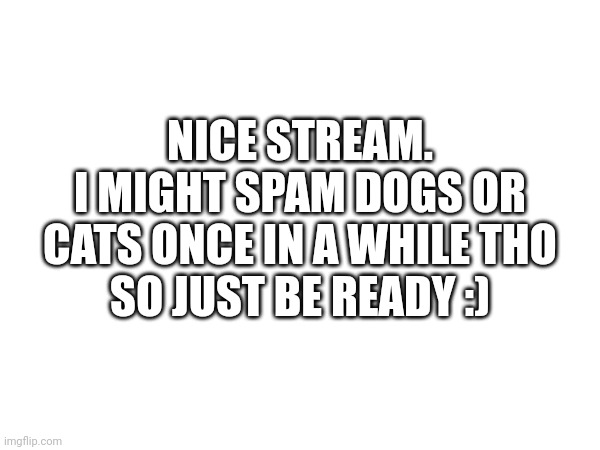 If I'm not allowed i wont | NICE STREAM.
I MIGHT SPAM DOGS OR CATS ONCE IN A WHILE THO
SO JUST BE READY :) | image tagged in new stream,good stream | made w/ Imgflip meme maker
