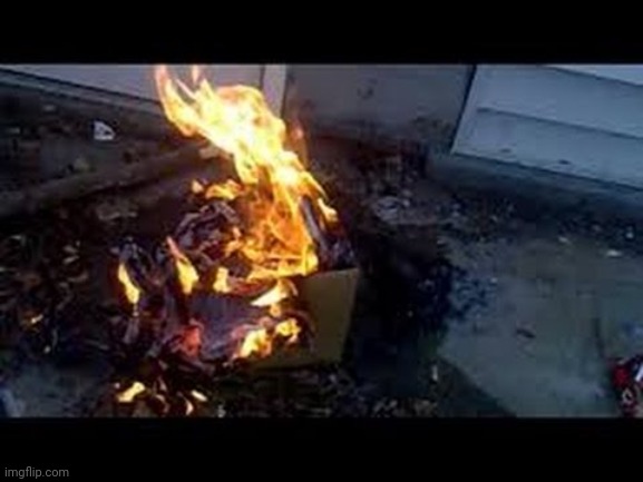 Exploding Cardboard Box | image tagged in exploding cardboard box | made w/ Imgflip meme maker
