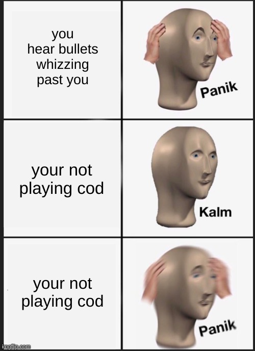 uh oh | you hear bullets whizzing past you; your not playing cod; your not playing cod | image tagged in memes,panik kalm panik | made w/ Imgflip meme maker