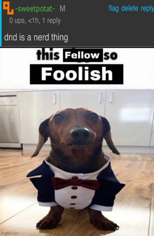 This fellow is so foolish | image tagged in this fellow is so foolish | made w/ Imgflip meme maker