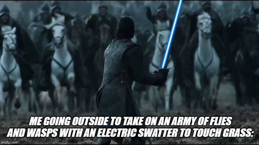 IM STILL STANDING | ME GOING OUTSIDE TO TAKE ON AN ARMY OF FLIES AND WASPS WITH AN ELECTRIC SWATTER TO TOUCH GRASS: | image tagged in one man vs army,funny,funny memes,relatable,relatable memes | made w/ Imgflip meme maker