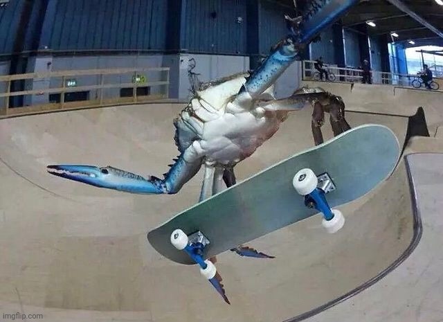 Back to normalcy | made w/ Imgflip meme maker