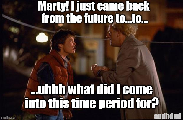 What did I come back to this future for? | Marty! I just came back 
from the future to...to... ...uhhh what did I come into this time period for? audhdad | image tagged in back to the future,memes,adhd,memory,audhd,forgetting | made w/ Imgflip meme maker