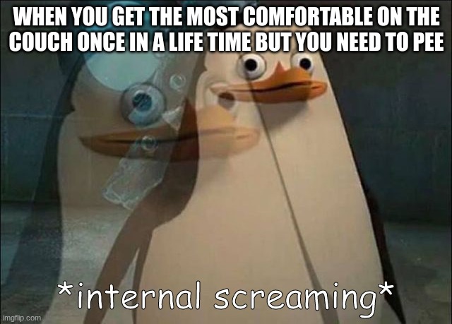 Private Internal Screaming | WHEN YOU GET THE MOST COMFORTABLE ON THE COUCH ONCE IN A LIFE TIME BUT YOU NEED TO PEE | image tagged in private internal screaming | made w/ Imgflip meme maker