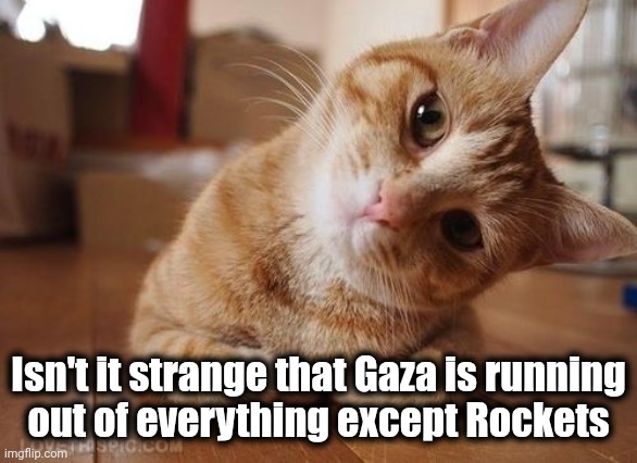 Make better choices | Isn't it strange that Gaza is running
out of everything except Rockets | image tagged in curious question cat,world war 3,well yes but actually no,terrorists,no food,no water | made w/ Imgflip meme maker