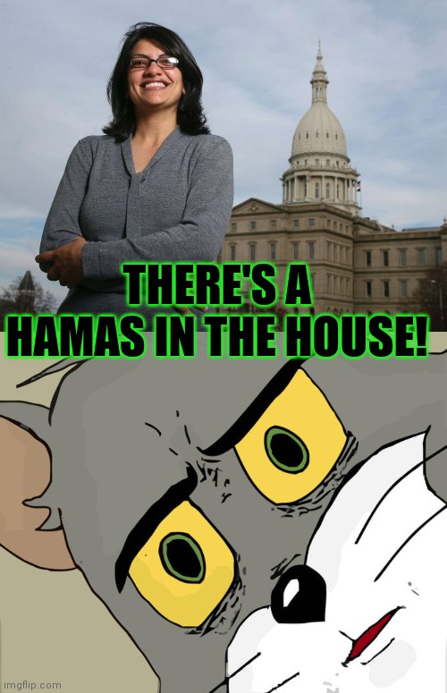 Spreading Misinformation | THERE'S A HAMAS IN THE HOUSE! | image tagged in memes,unsettled tom,liar liar,continues,to lie | made w/ Imgflip meme maker