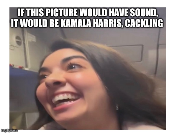 HAHAHA | IF THIS PICTURE WOULD HAVE SOUND, IT WOULD BE KAMALA HARRIS, CACKLING | image tagged in funny memes,lol so funny,idk | made w/ Imgflip meme maker