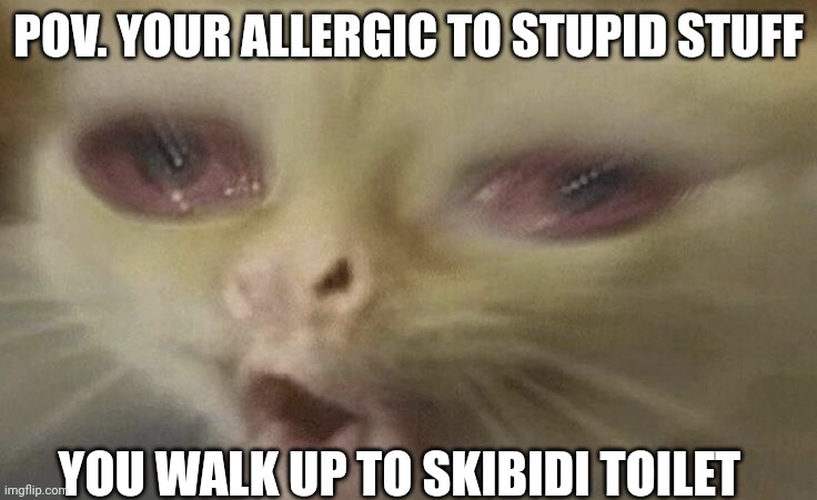 *cough* | POV. YOUR ALLERGIC TO STUPID STUFF; YOU WALK UP TO SKIBIDI TOILET | image tagged in coughing cat | made w/ Imgflip meme maker