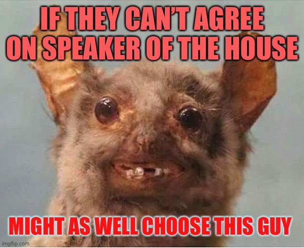ugly bat | IF THEY CAN’T AGREE ON SPEAKER OF THE HOUSE; MIGHT AS WELL CHOOSE THIS GUY | image tagged in ugly bat,memes | made w/ Imgflip meme maker