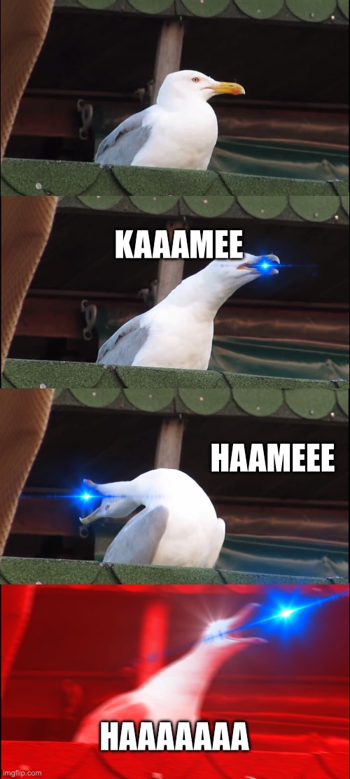 Goku but bird?! | KAAAMEE; HAAMEEE; HAAAAAAA | image tagged in memes,inhaling seagull | made w/ Imgflip meme maker