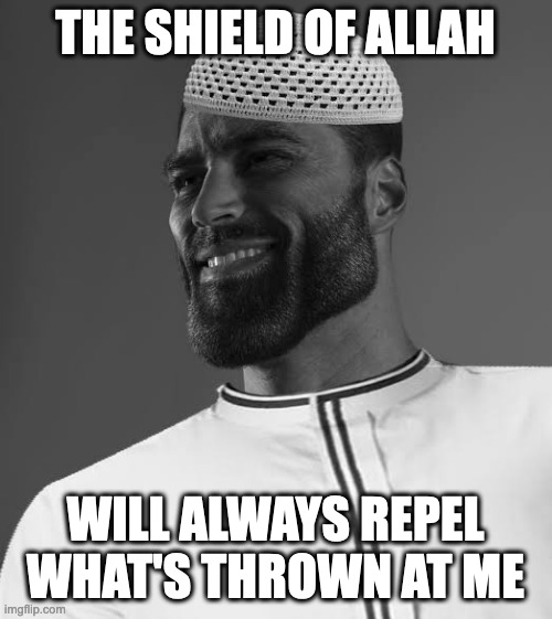 The Sheild of Allah | THE SHIELD OF ALLAH; WILL ALWAYS REPEL WHAT'S THROWN AT ME | image tagged in muslim gigachad | made w/ Imgflip meme maker