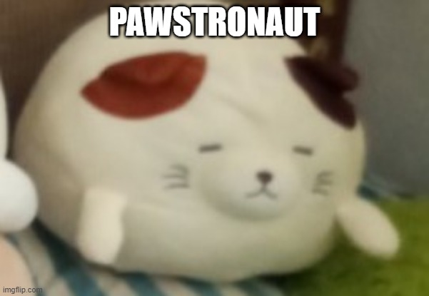 Cappuccino | PAWSTRONAUT | image tagged in cappuccino | made w/ Imgflip meme maker