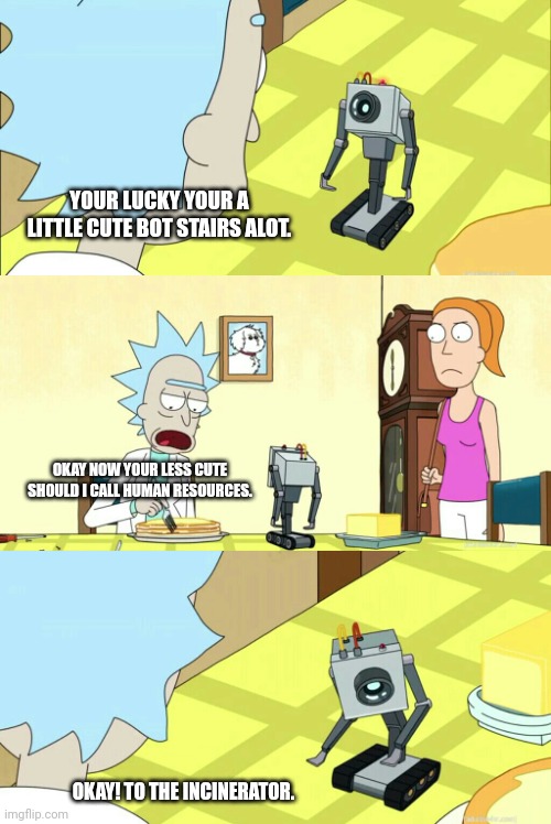 Rick@morty | YOUR LUCKY YOUR A LITTLE CUTE BOT STAIRS ALOT. OKAY NOW YOUR LESS CUTE SHOULD I CALL HUMAN RESOURCES. OKAY! TO THE INCINERATOR. | image tagged in what is my purpose | made w/ Imgflip meme maker