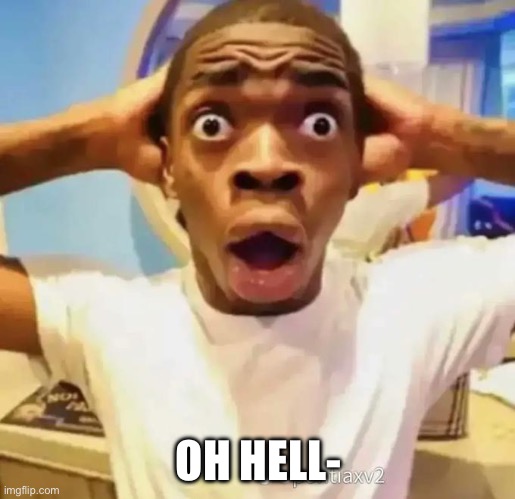 Shocked black guy | OH HELL- | image tagged in shocked black guy | made w/ Imgflip meme maker