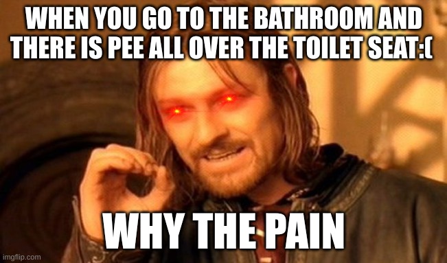 When you go to that bathroom at school:( | WHEN YOU GO TO THE BATHROOM AND THERE IS PEE ALL OVER THE TOILET SEAT:(; WHY THE PAIN | image tagged in memes,one does not simply | made w/ Imgflip meme maker