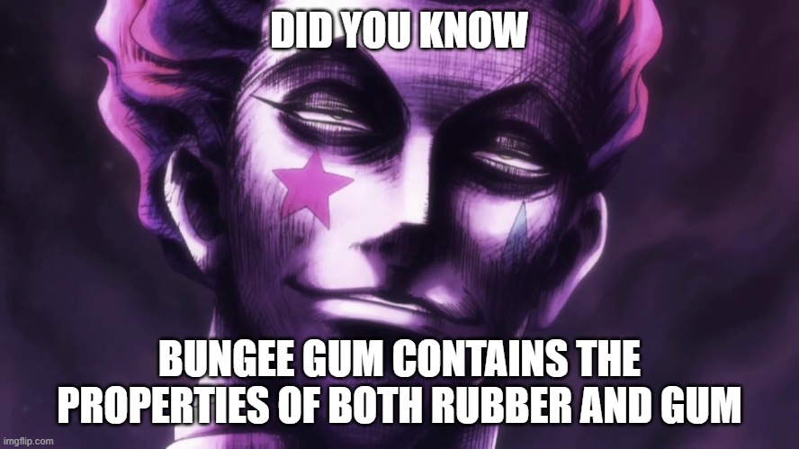 Hunter × Hunter Hisoka Morow face | DID YOU KNOW BUNGEE GUM CONTAINS THE PROPERTIES OF BOTH RUBBER AND GUM | image tagged in hunter hunter hisoka morow face | made w/ Imgflip meme maker