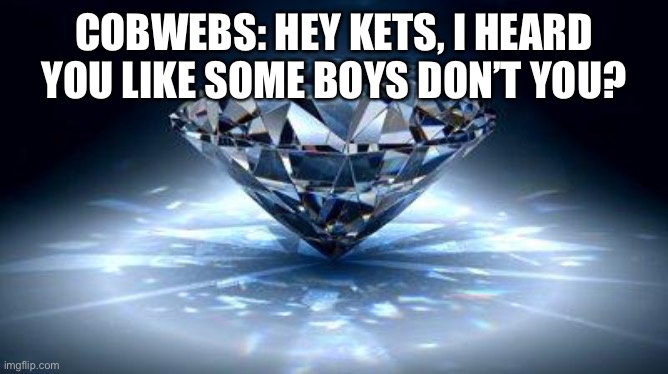 Cobweb’s Conversation About Kettle’s Love | COBWEBS: HEY KETS, I HEARD YOU LIKE SOME BOYS DON’T YOU? | image tagged in diamond | made w/ Imgflip meme maker