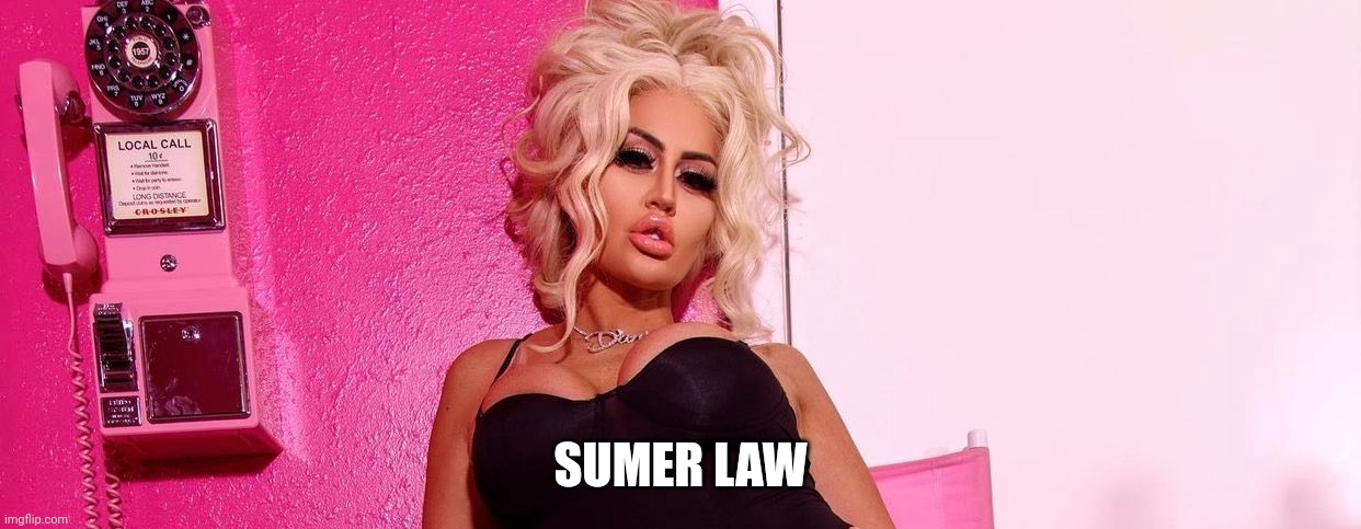D | SUMER LAW | image tagged in d | made w/ Imgflip meme maker