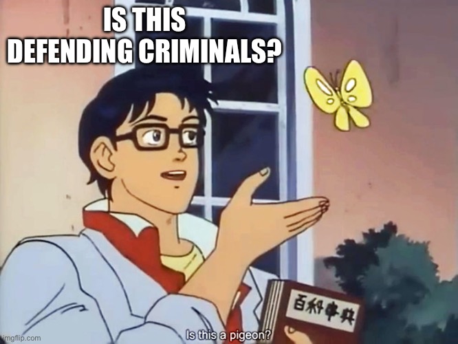 ANIME BUTTERFLY MEME | IS THIS DEFENDING CRIMINALS? | image tagged in anime butterfly meme | made w/ Imgflip meme maker
