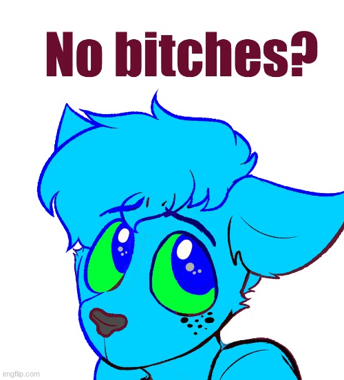 Retro no bitches | image tagged in retro no bitches | made w/ Imgflip meme maker