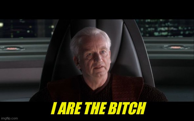 I am the Senate | I ARE THE BITCH | image tagged in i am the senate | made w/ Imgflip meme maker