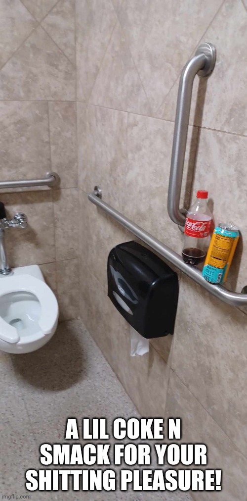 Bathroom luxuries | A LIL COKE N SMACK FOR YOUR SHITTING PLEASURE! | image tagged in bathroom humor,drugs,shit just got real | made w/ Imgflip meme maker