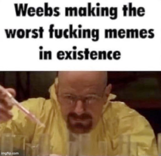 Weebs making the worst fucking memes inexistence | image tagged in weebs making the worst fucking memes inexistence | made w/ Imgflip meme maker