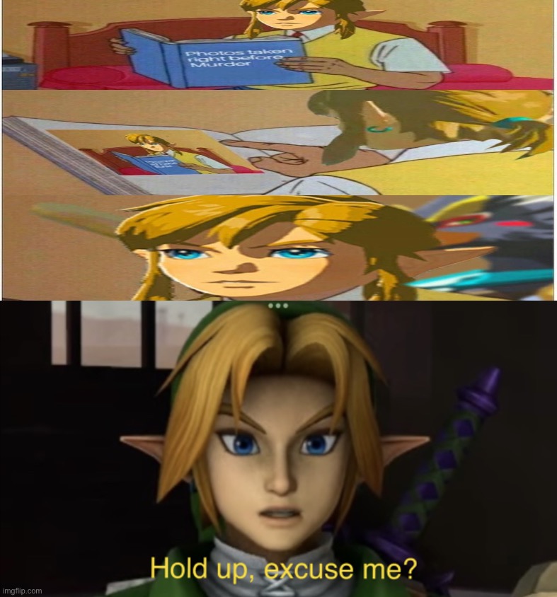 SOMETHING IS NOT RIGHT | image tagged in link hold up excuse me,botw,link | made w/ Imgflip meme maker