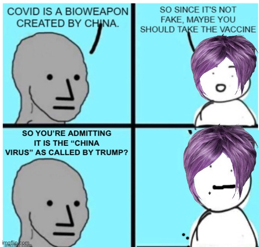 So Trump was correct? | image tagged in npc meme,memes,politics lol | made w/ Imgflip meme maker