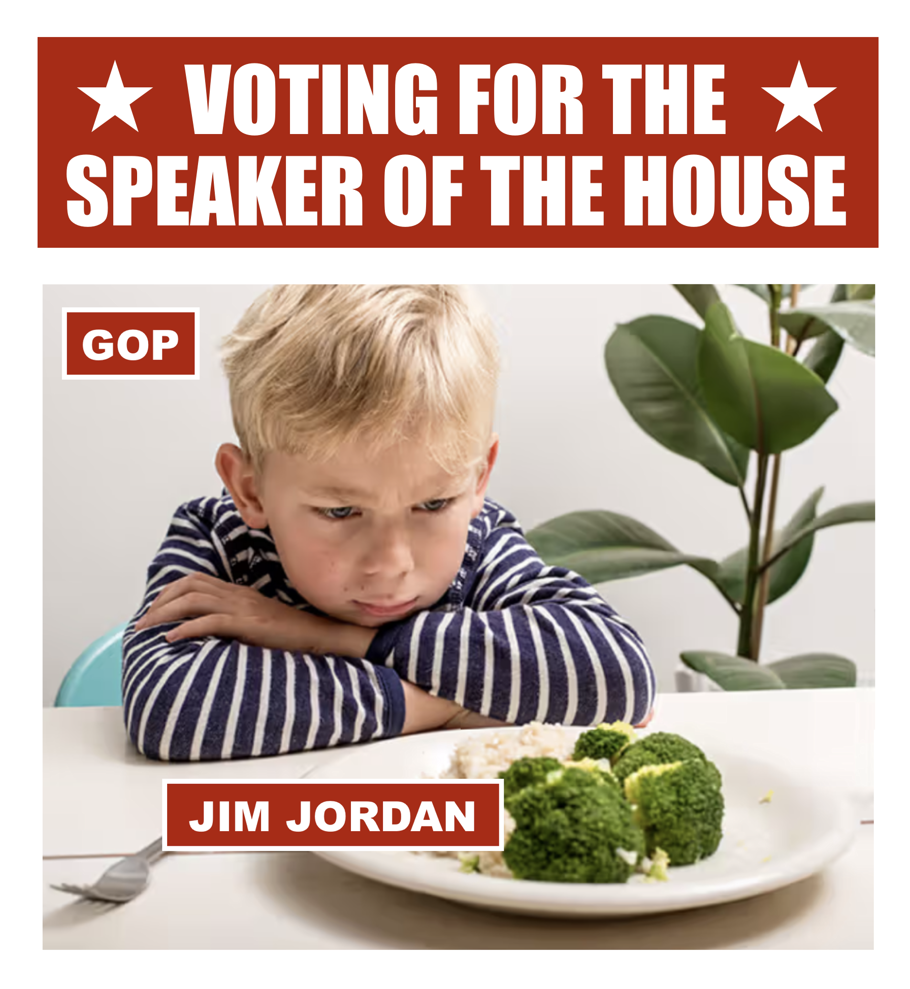 Voting for the Speaker of the House GOP Jim Jordan Broccoli Meme Blank Meme Template