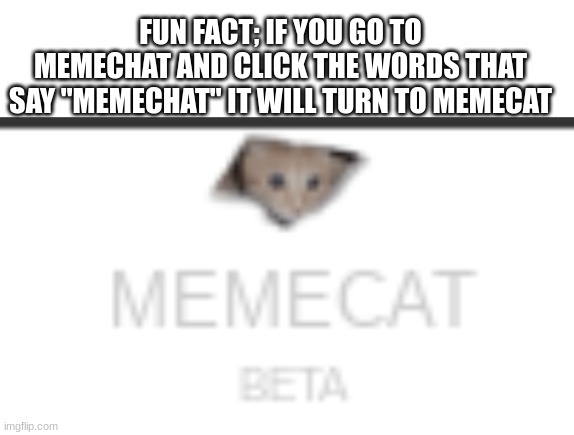 i just found this | FUN FACT; IF YOU GO TO MEMECHAT AND CLICK THE WORDS THAT SAY "MEMECHAT" IT WILL TURN TO MEMECAT | image tagged in blank white template | made w/ Imgflip meme maker